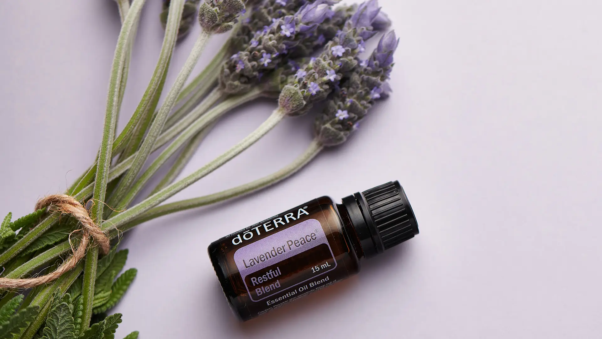A bottle of dōTERRA Lavender Peace Oil Blend rests beside a fresh lavender bundle on a soft lavender background, symbolising natural rest and calm.