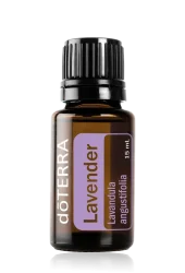 A 15 mL amber glass bottle of dōTERRA Lavender Oil with a black cap and purple label, featuring the botanical name Lavandula angustifolia.